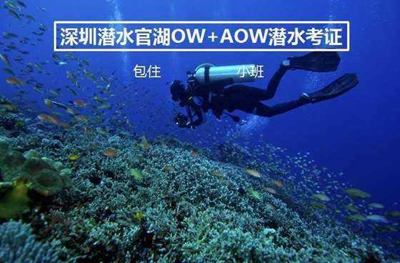属兔农历十二月二十二是什么星座-知识星球平台,解你的疑惑