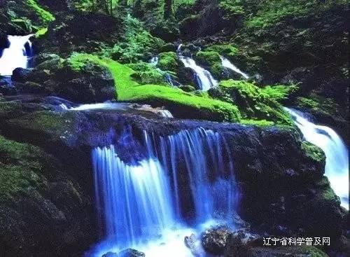 竞技宝登录